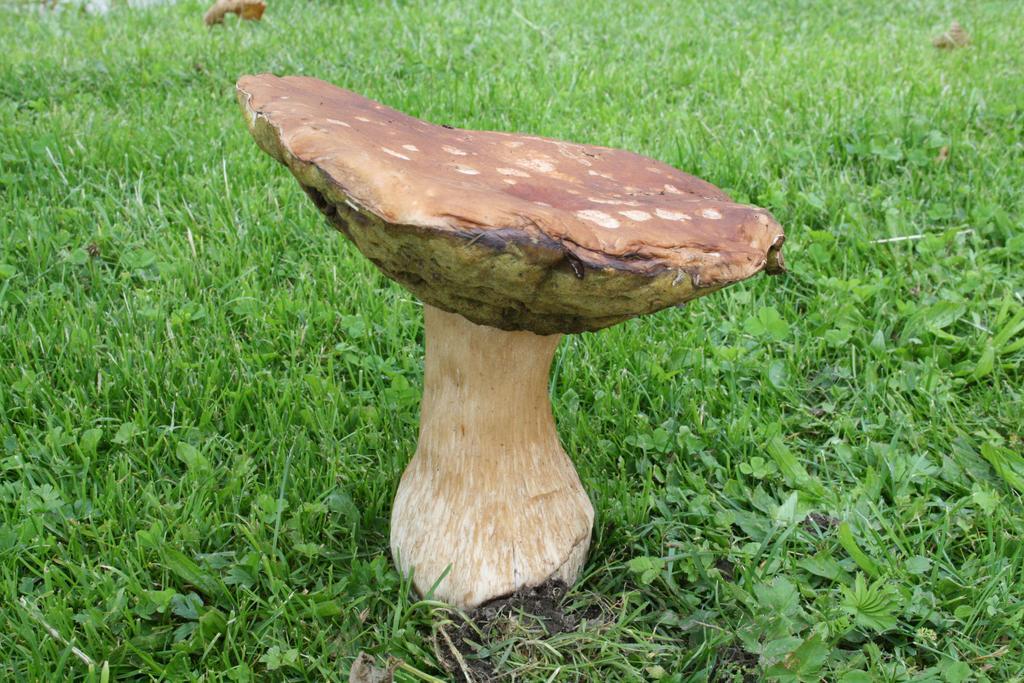 Chata Javorina Javornik  Luaran gambar